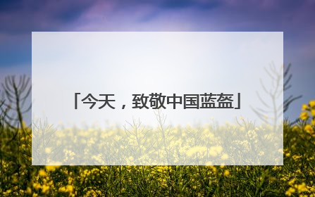 今天，致敬中国蓝盔